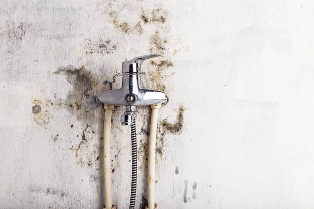 Best DIY Mold Remediation Support Services in Kiefer, OK