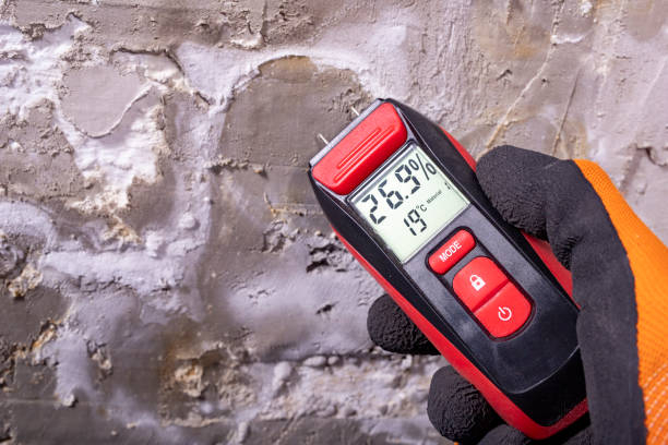 Best DIY Mold Remediation Support Services in Kiefer, OK