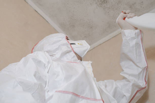 Best Residential Mold Remediation in Kiefer, OK