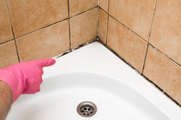 Best Basement Mold Remediation in Kiefer, OK